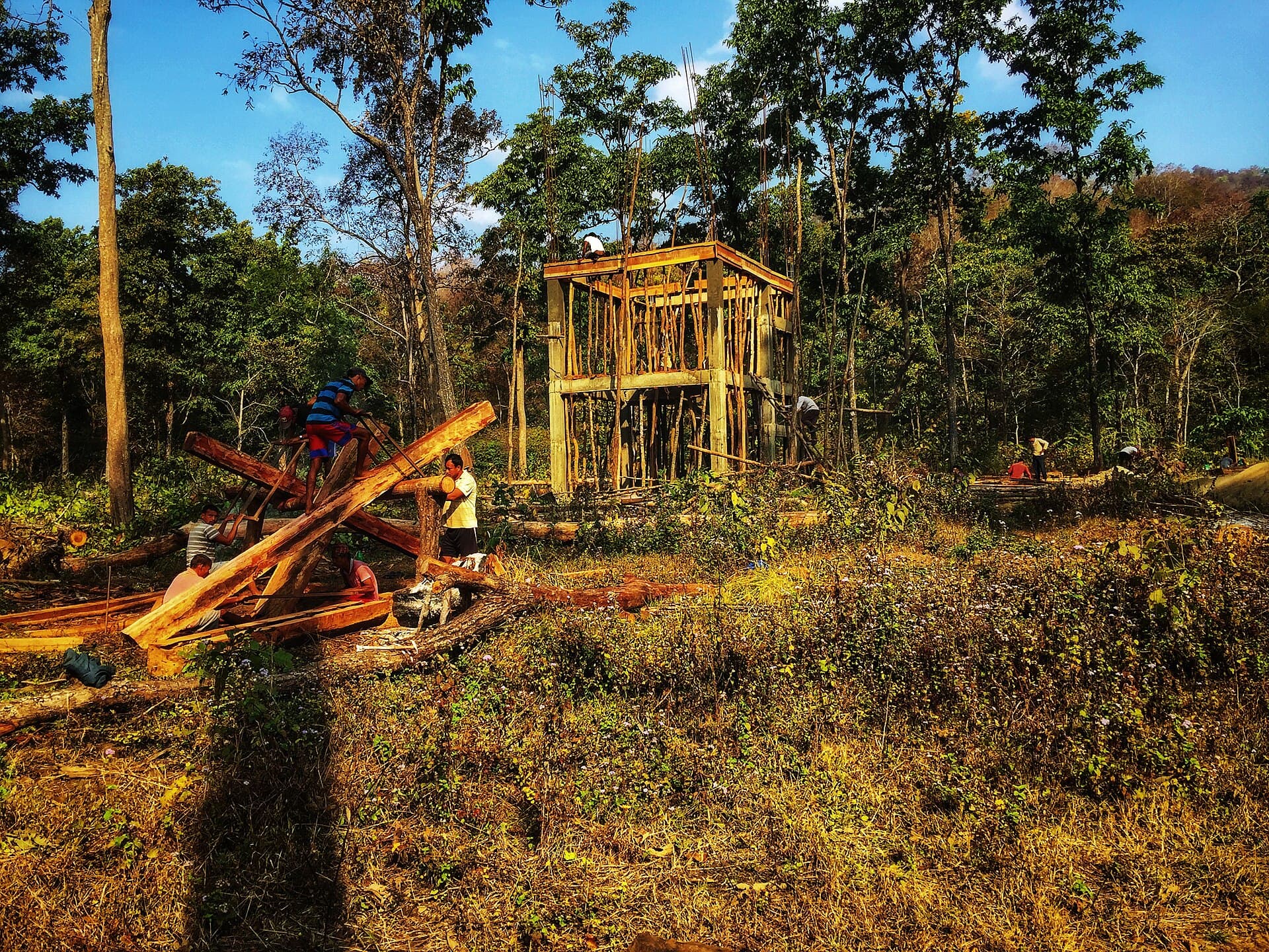 Sivalik forest and grassland in Banke National Park