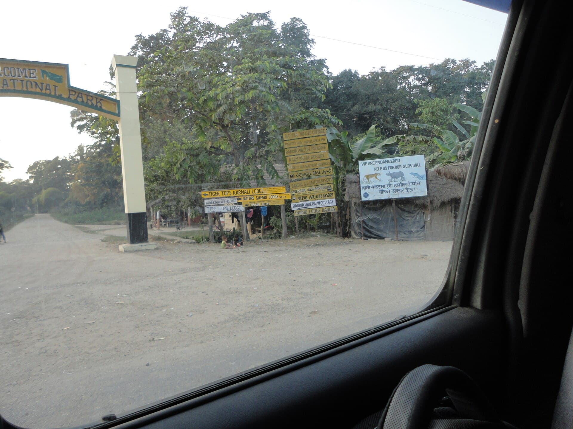 Grassland and sal forest in Bardiya National Park