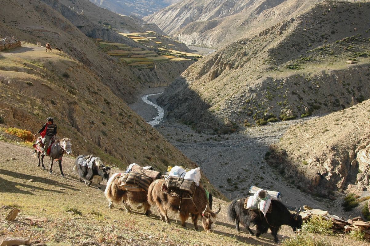 Arid trans-Himalayan landscape of the Dolpo region