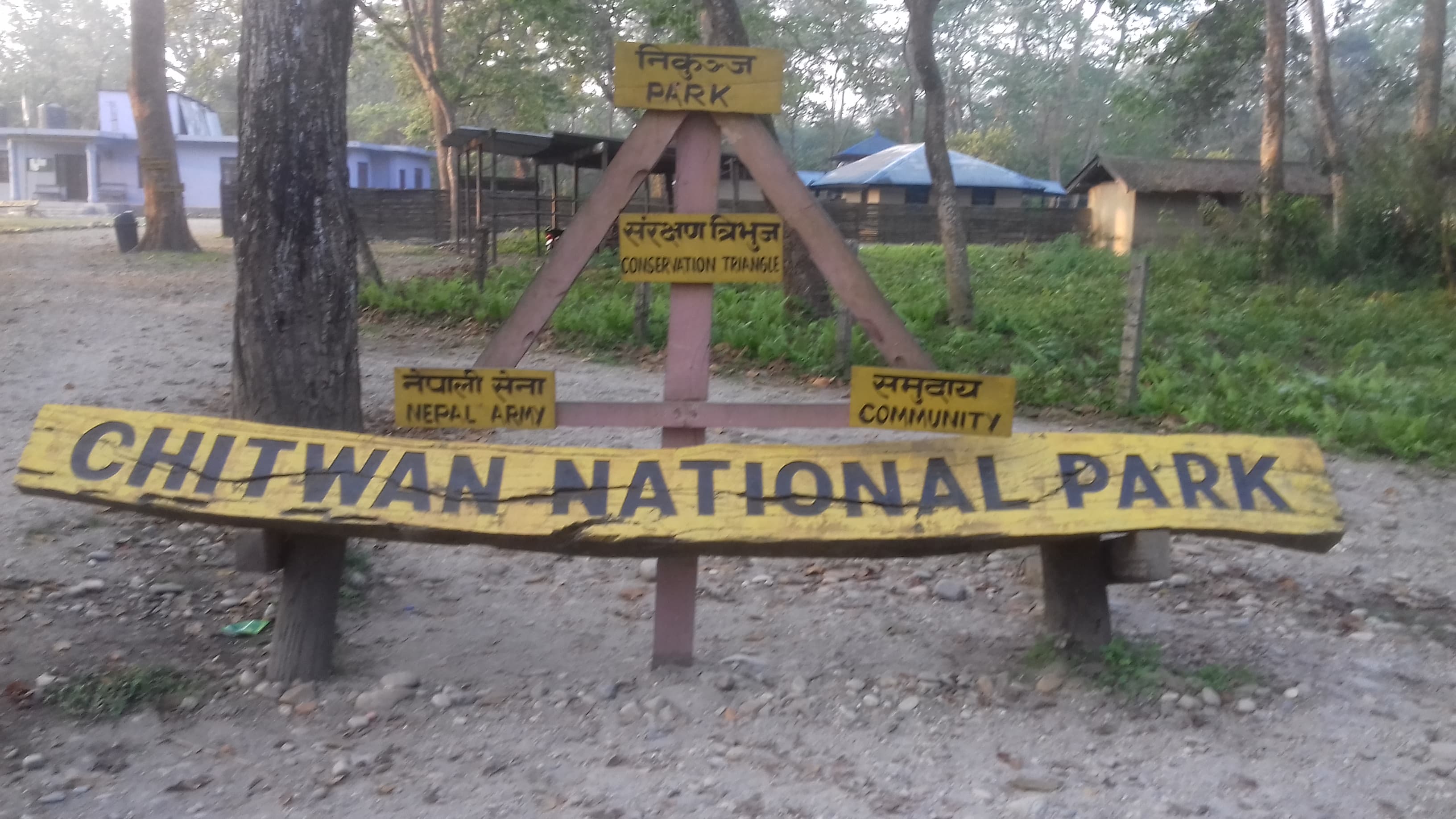 Elephants at the Elephant Breeding Center, Chitwan
