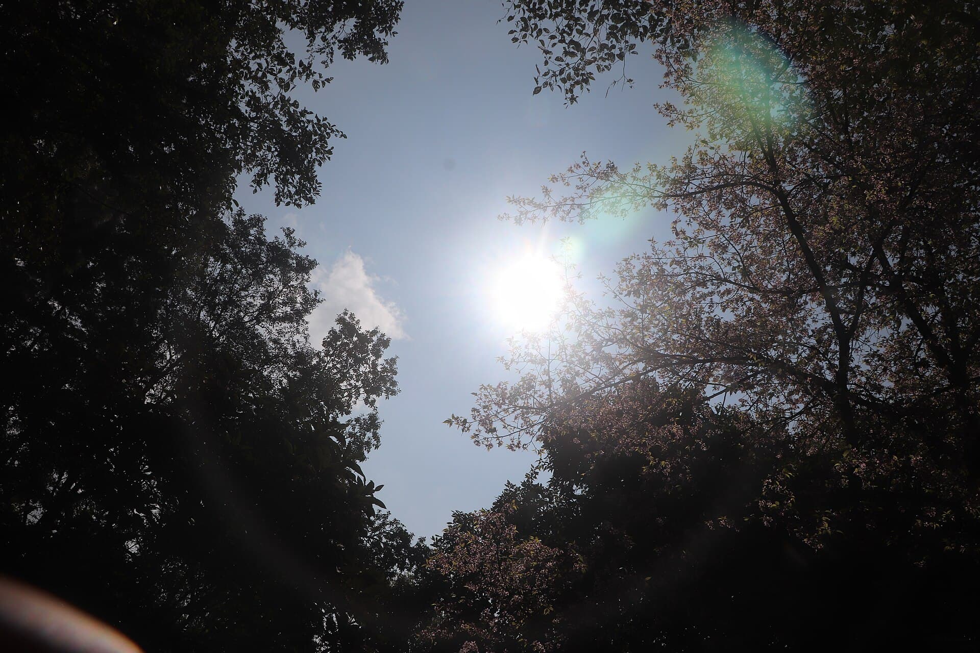 Shivapuri Nagarjun National Park — Shivapuri Nagarjun